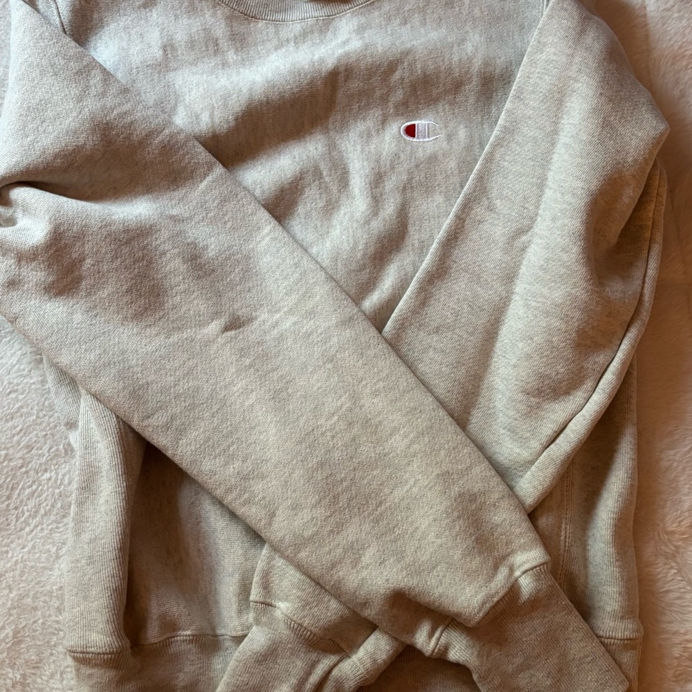Champion Men's Gray Sweater